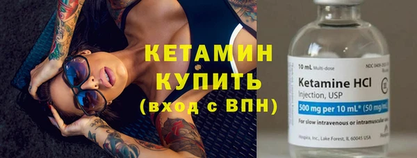трава Сясьстрой