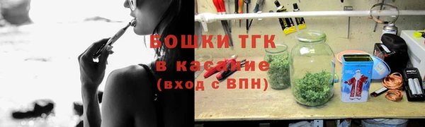 мдпв Тайга