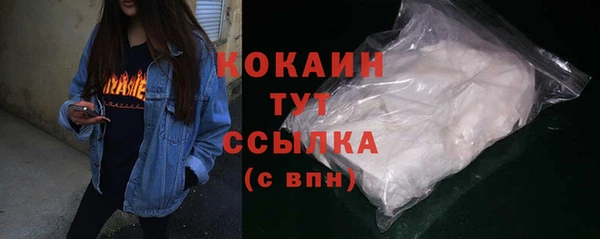мдпв Тайга