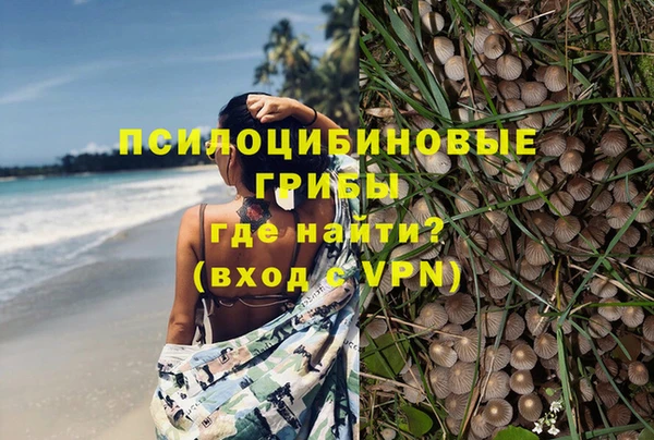 трава Сясьстрой