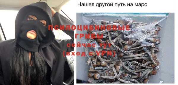 мдпв Тайга