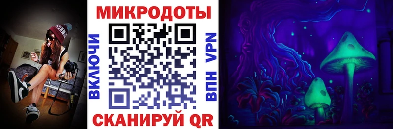 Галлюциногенные грибы Psilocybine cubensis  Костомукша 